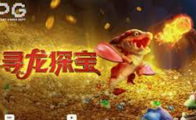 ayx大厅手机版登录入口免费版